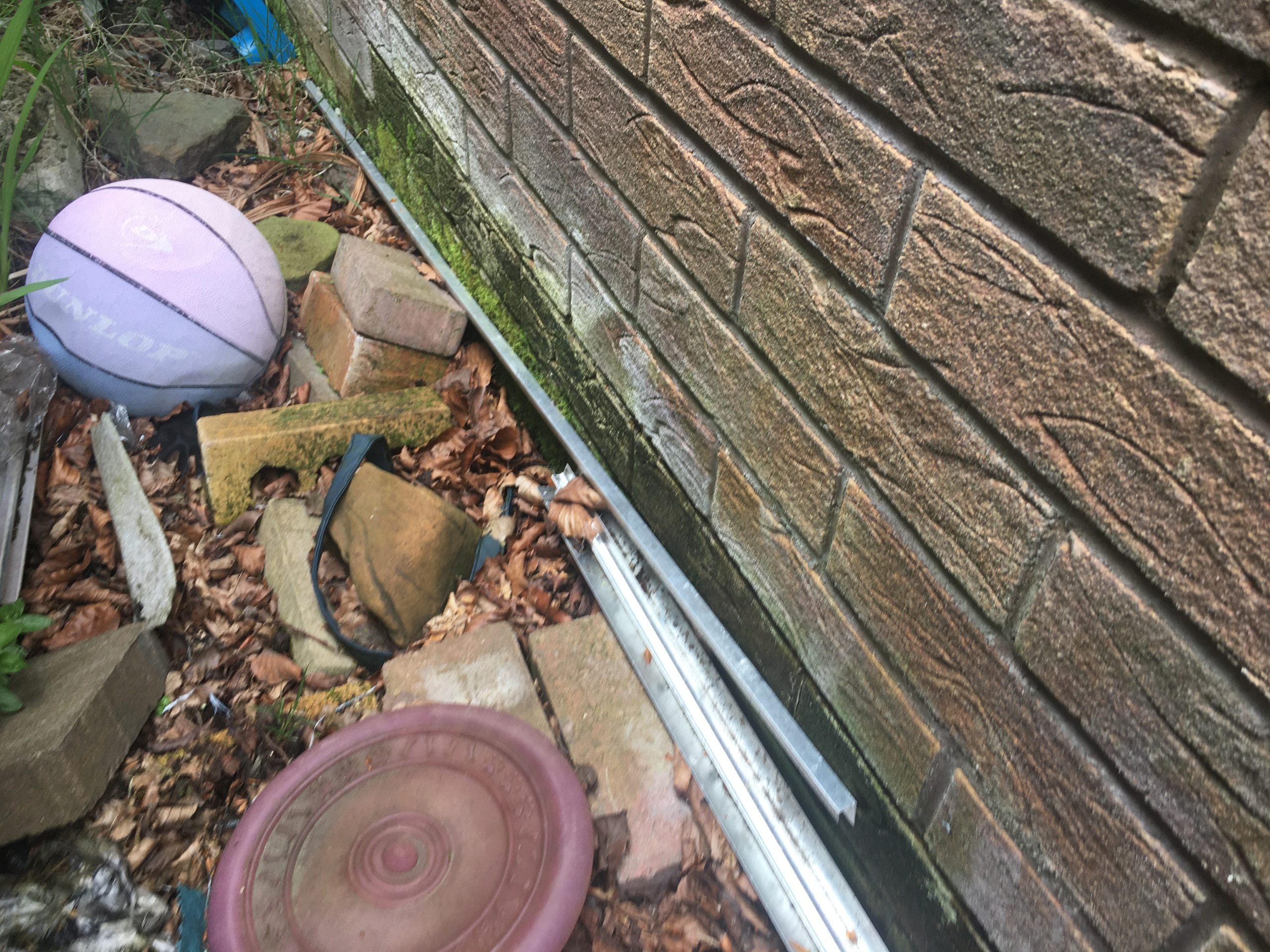 Moss growth, organic matter and efflorescence at the garage conversion which I cleared.